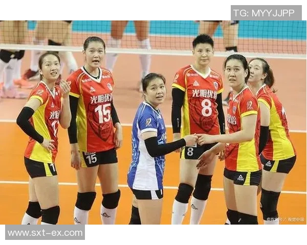 成都排球队配合变革引发热议展现团队精神与战术创新